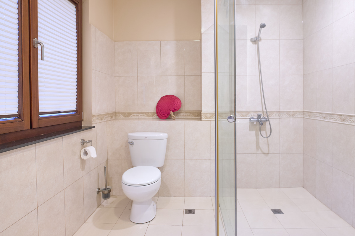 Guest bathroom with safety-glass shower